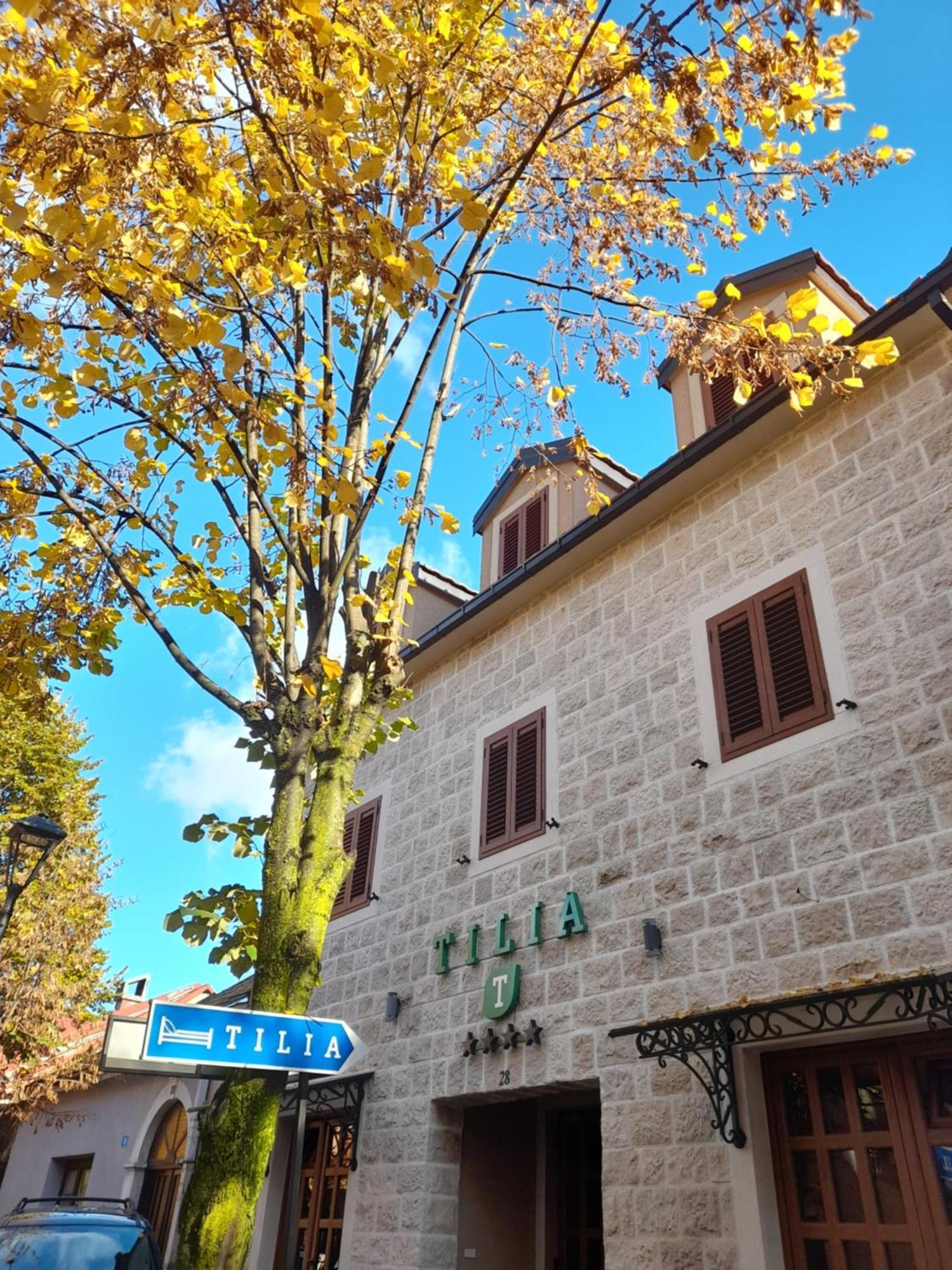 采蒂涅 Tilia酒店 外观 照片