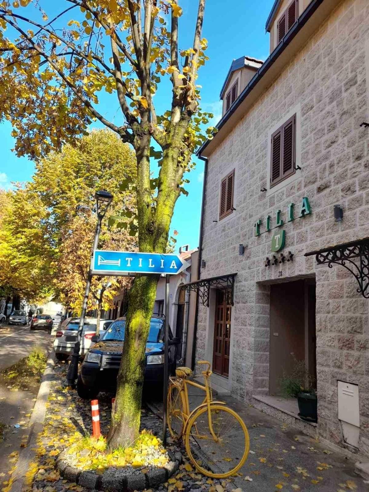 采蒂涅 Tilia酒店 外观 照片
